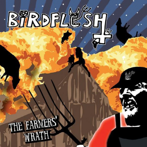 Birdflesh - The Farmers' Wrath (LP)